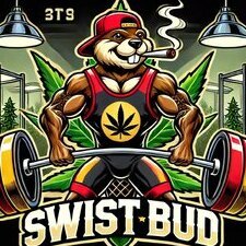 swistbuds