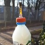 Greenkacpi