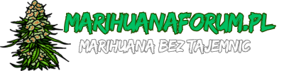 MarihuanaForum.pl | Polskojęzyczne Forum o Marihuanie